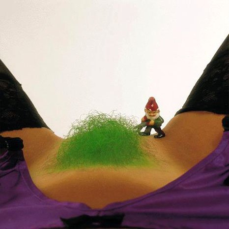 Nano giardiniere