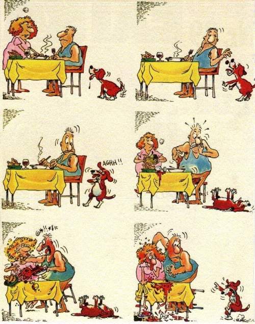 Polpetta avvelenata… Uno scherzo da cani