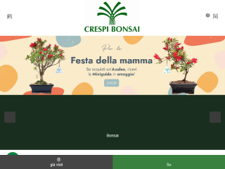 Crespi Bonsai