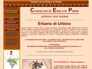 Curarsi con le erbe e le piante