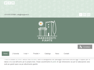 Vivai Piante Margheriti