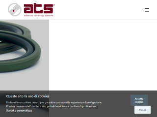 ATS S.r.l. -Guarnizioni e Anelli di guida in PTFE-