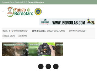 Fungo di borgotaro IGP