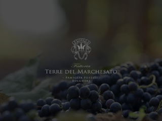 FATTORIA TERRE DEL MARCHESATO Bolgheri