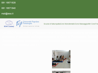 IESO Academy