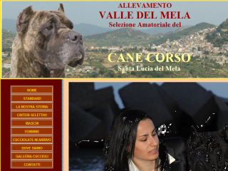 Allevamento cane Corso