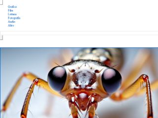 Web agency