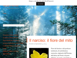 Fiori colorati per le aiuole