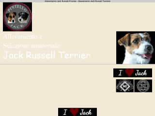 Allevamento Jack Russell Firenze Toscana